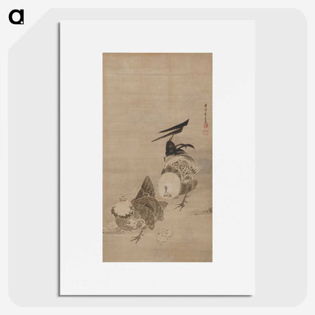 1-33_Ito-Jakuchu_picture