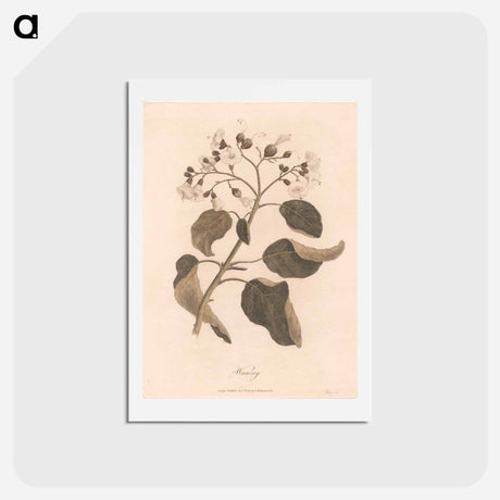 アートポストカード-Wanzey
 - ジェームス ヒース Postcard.