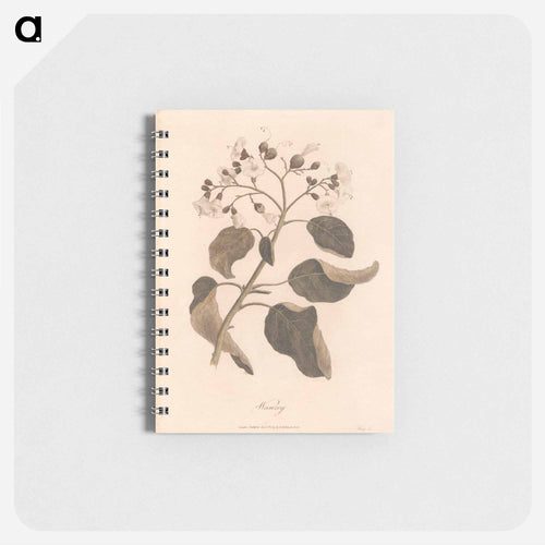 Wanzey
 - ジェームス ヒース Memo.