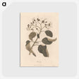 1-33_James-Heath_postcard