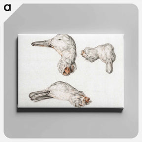 アートパネル-Severed head of ducks - ジャン ベルナール Canvas.
