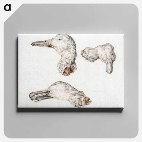 アートパネル-Severed head of ducks - ジャン ベルナール Canvas.