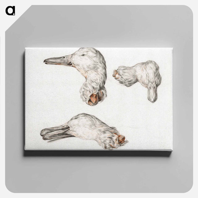 アートパネル-Severed head of ducks - ジャン ベルナール Canvas.