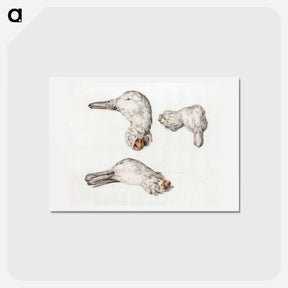 アートポストカード-Severed head of ducks - ジャン ベルナール Postcard.