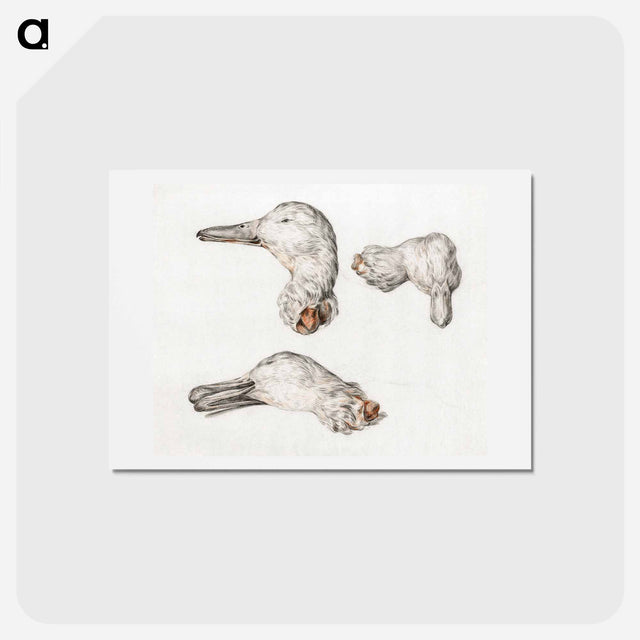 アートポストカード-Severed head of ducks - ジャン ベルナール Postcard.