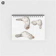 1-33_Jean-Bernard_memo