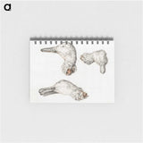 1-33_Jean-Bernard_memo