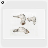 1-33_Jean-Bernard_picture