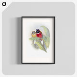 1-33_John-Gould_blk