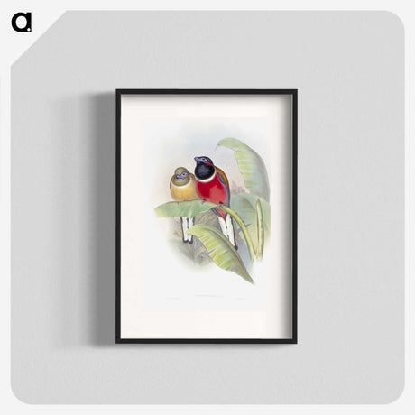 1-33_John-Gould_blk