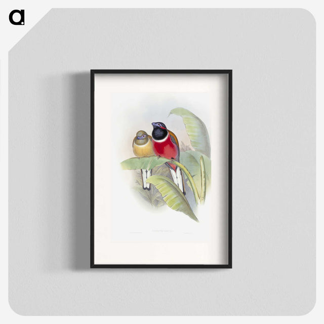 1-33_John-Gould_blk