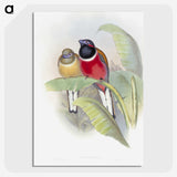 1-33_John-Gould_picture-crop