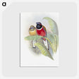 1-33_John-Gould_postcard