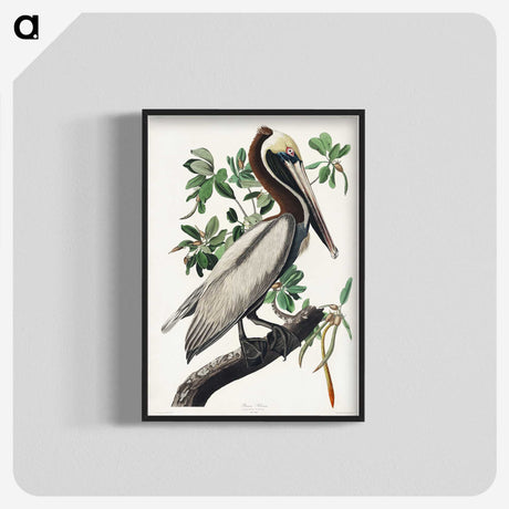 1-33_John-James-Audubon_blk-crop