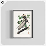 1-33_John-James-Audubon_blk
