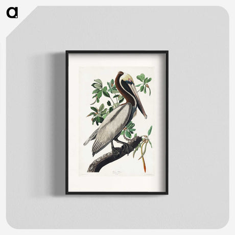 1-33_John-James-Audubon_blk