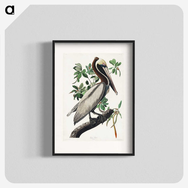 1-33_John-James-Audubon_blk