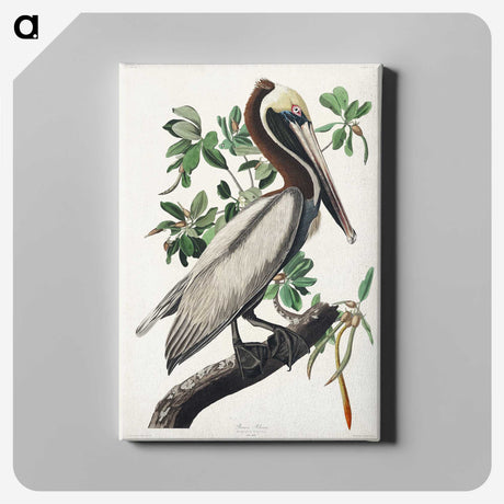 1-33_John-James-Audubon_canvas