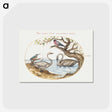 1-33_Joris-Hoefnagel_postcard