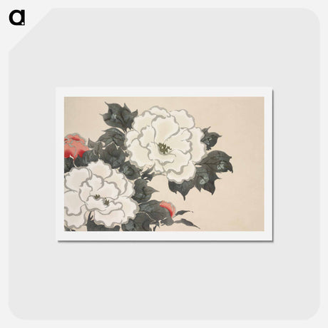 アートポストカード-Flowers from Momoyogusa–Flowers of a Hundred Generations - 神坂 雪佳 Postcard.