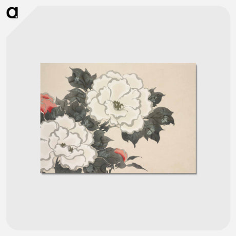 アートポストカード-Flowers from Momoyogusa–Flowers of a Hundred Generations - 神坂 雪佳 Postcard.