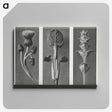 1-33_Karl-Blossfeldt_canvas