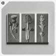 アートパネル-Cirsium canum (Queen Anne Thistle) enlarged 4 times, Phlomis umbrosa enlarged 4 times, and Salvia enlarged 6 times from Urformen der Kunst by . Original from The Rijksmuseum. Digitally enhanced - カール ブロスフェルト Canvas.