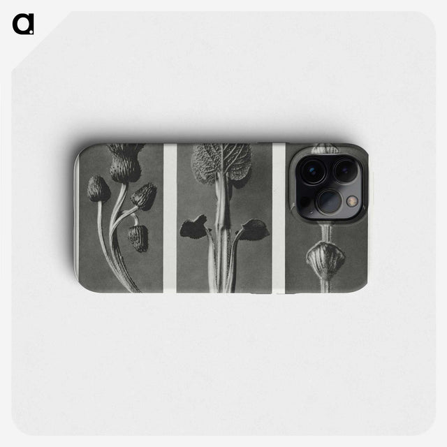 1-33_Karl-Blossfeldt_phone