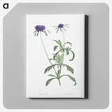1-33_La-Botanique_canvas