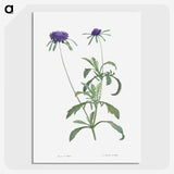 1-33_La-Botanique_picture-crop