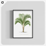 1-33_Les-Palmiers-Histoire-Iconographique_blk-crop