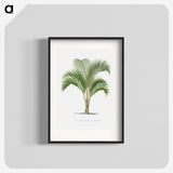 1-33_Les-Palmiers-Histoire-Iconographique_blk