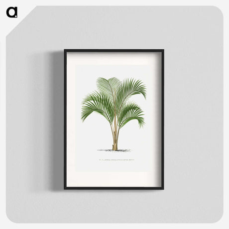 1-33_Les-Palmiers-Histoire-Iconographique_blk