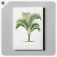 1-33_Les-Palmiers-Histoire-Iconographique_canvas