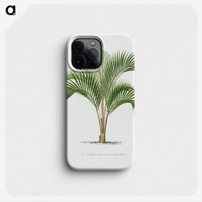 1-33_Les-Palmiers-Histoire-Iconographique_phone