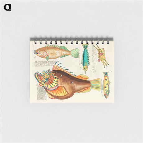 アートメモ帳-Moluccan Fishes
 - ルイ ルナール Memo.