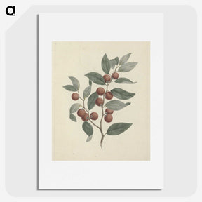 1-33_Luigi-Balugani_picture