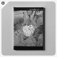 1-33_Marion-Post-Wolcott_canvas