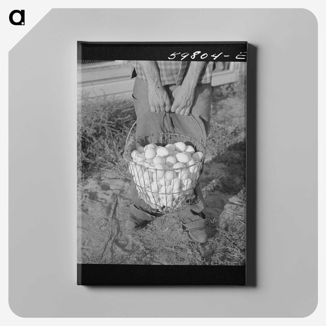 1-33_Marion-Post-Wolcott_canvas