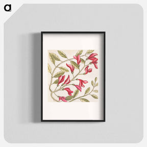 アートポスター-Sorrel Tree, Acacia, and Candle-berry Myrtle
 - マーク ケイツビー Poster.