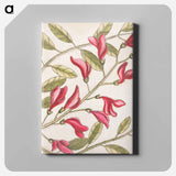 アートパネル-Sorrel Tree, Acacia, and Candle-berry Myrtle
 - マーク ケイツビー Canvas.
