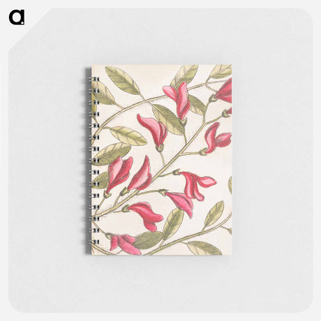 アートメモ帳-Sorrel Tree, Acacia, and Candle-berry Myrtle
 - マーク ケイツビー Memo.