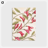 アートポストカード-Sorrel Tree, Acacia, and Candle-berry Myrtle
 - マーク ケイツビー Postcard.