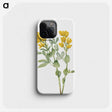 1-33_Mary-Vaux-Walcott_phone