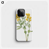 1-33_Mary-Vaux-Walcott_phone