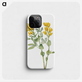 1-33_Mary-Vaux-Walcott_phone