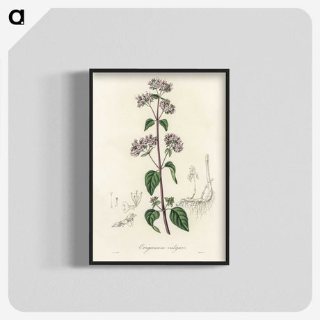 1-33_Medical-Botany_blk-crop