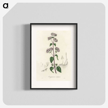 1-33_Medical-Botany_blk
