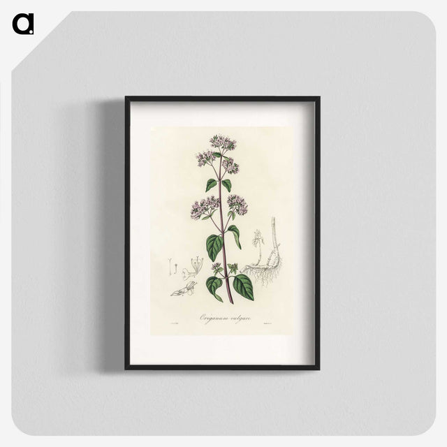 1-33_Medical-Botany_blk