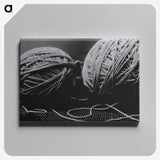 1-33_Milos-Dohnany_canvas